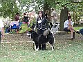 img 050